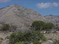 Guadalupe_Mtns_1.JPG (66413 bytes)