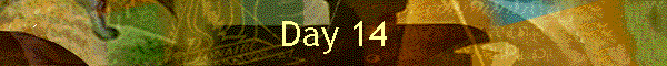 Day 14