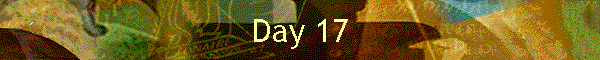 Day 17