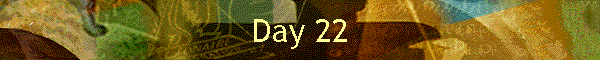 Day 22