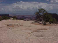 Canyonlands_NP_Islands.JPG (45577 bytes)